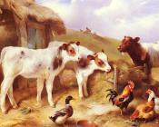 沃尔特 亨特 : Calves, Chicken and a Duck